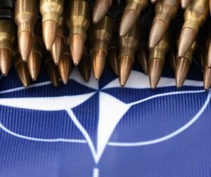    Фото: unsplash.com / Marek Studzinski Ирина Амелина