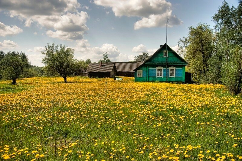 Деревня летом