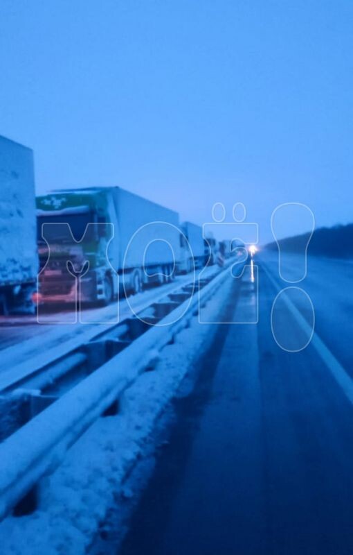    Фото: читательница «МОЁ! Online»