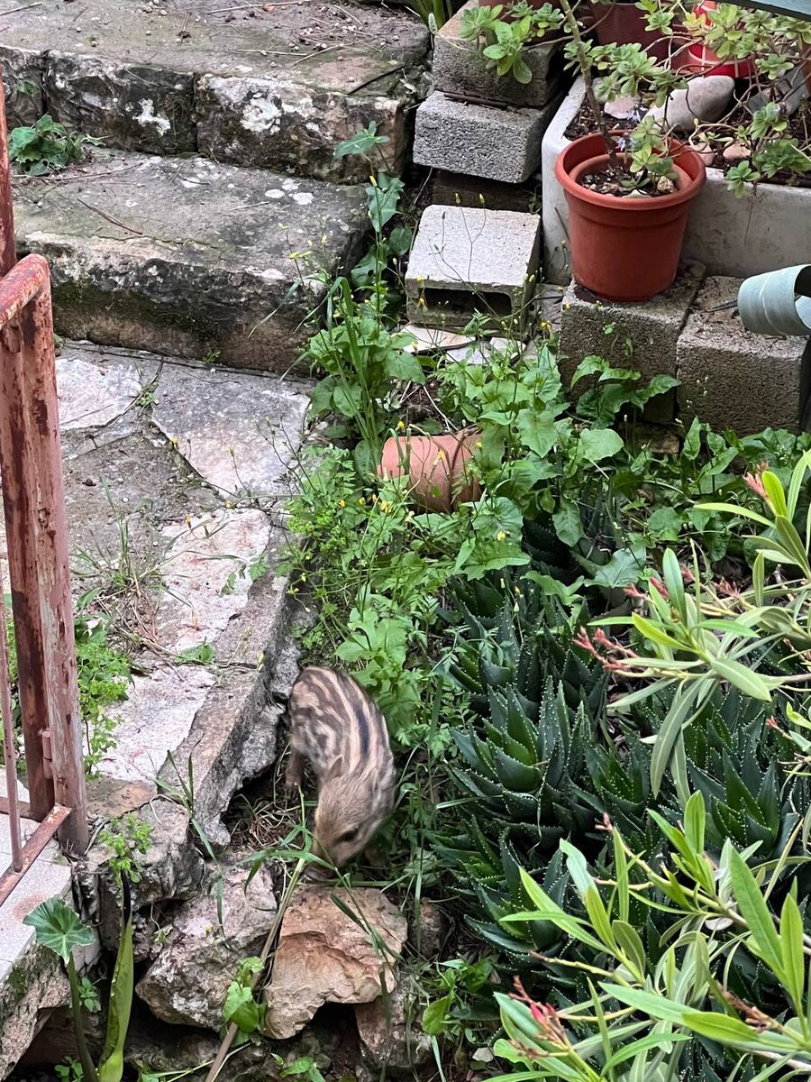 Снято из окна квартиры