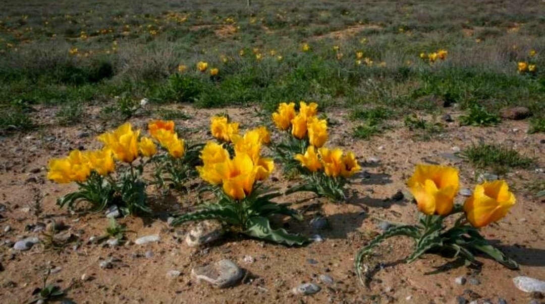  (фото из интернета)