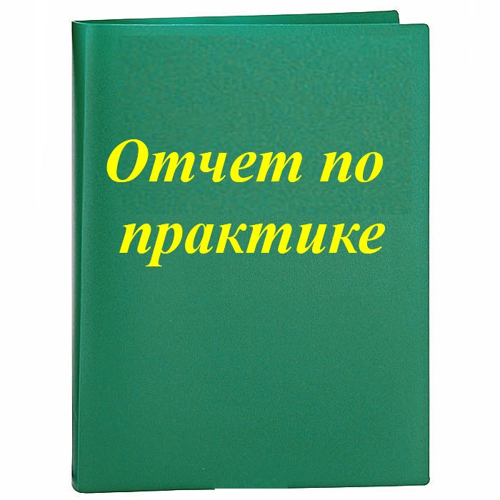 Специальность/профессия - Социальный работник Содержание задания на практику (перечень подлежащих рассмотрению вопросов): 1.