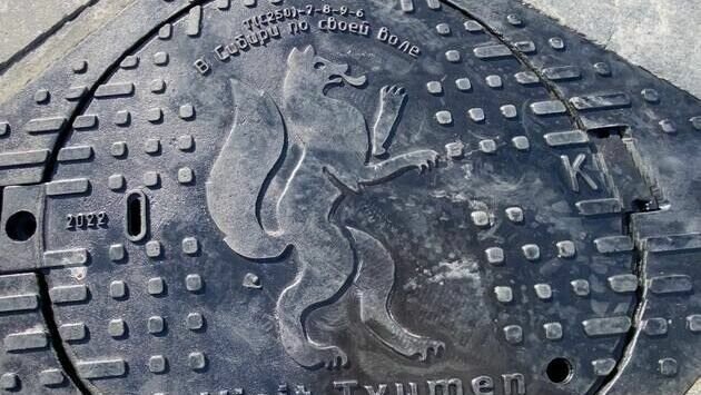     В Тюмени на пешеходном бульваре на улице Дзержинского установили необычные крышки люков с символикой города. На них изображено здание коммерческого училища, указаны дата основания областной столицы и старое название улицы — Садовая.