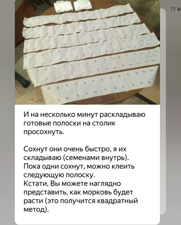 Как приклеить морковь на туалетную бумагу. Клейстер из муки для семян. Клейстер для семян моркови. Как семена приклеить к туалетной бумаге. Как сварить клейстер из муки для семян моркови на бумагу