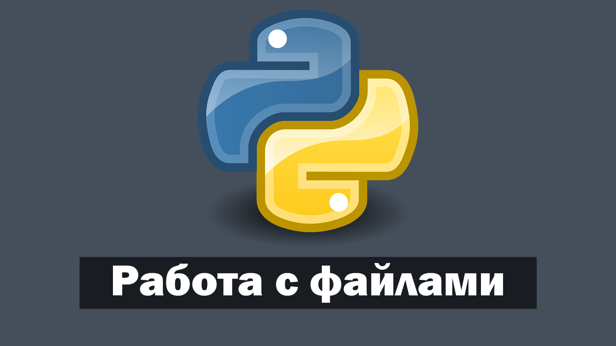 Работа с файлами в Python: чтение, запись и обработка данных в различных  форматах | IT Start | Python | Дзен