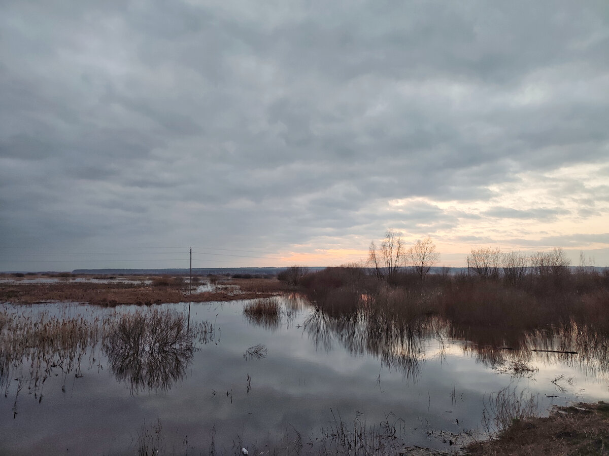 Вечер над разливом