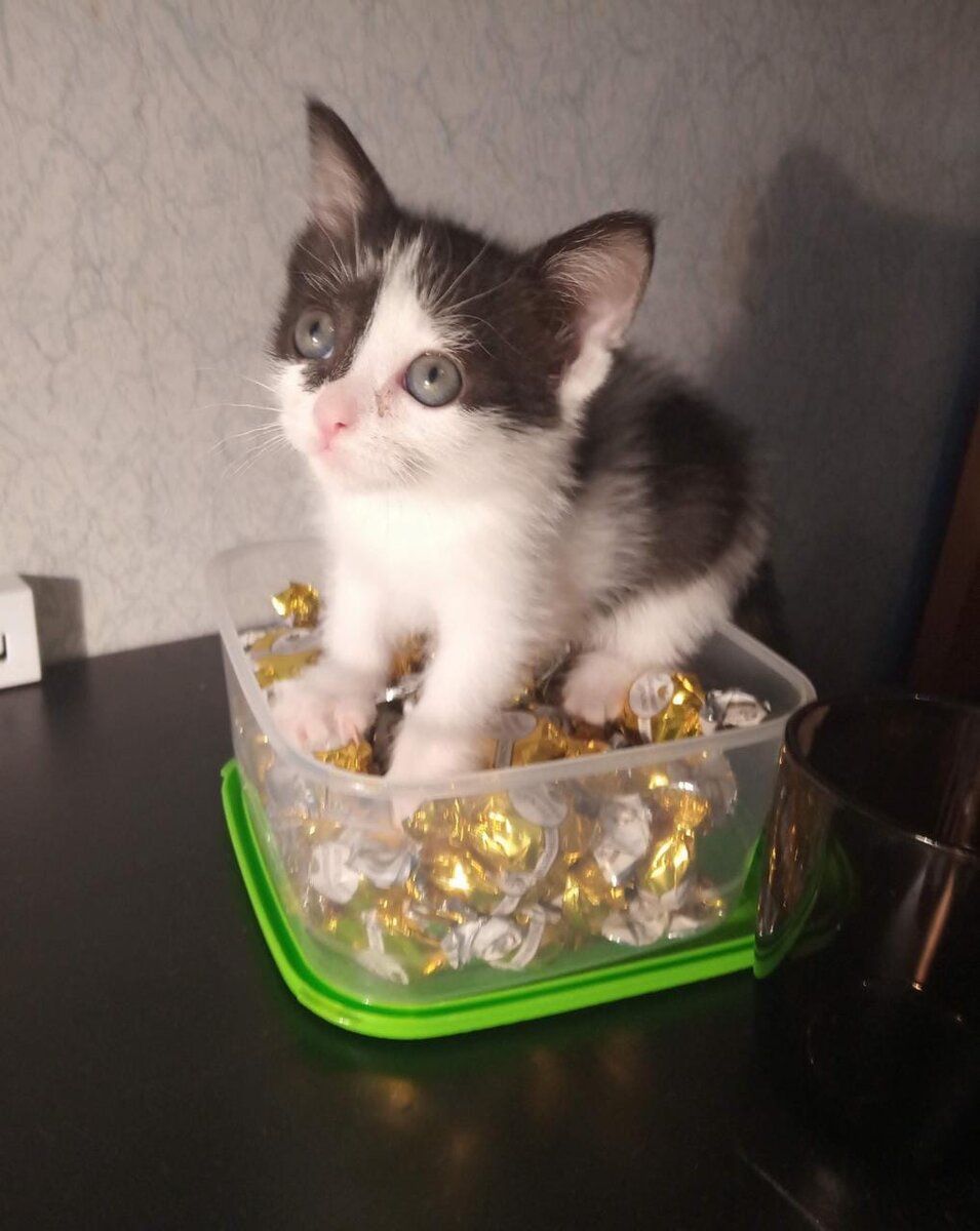 Самое лучшее место,чтобы посидеть.Да.