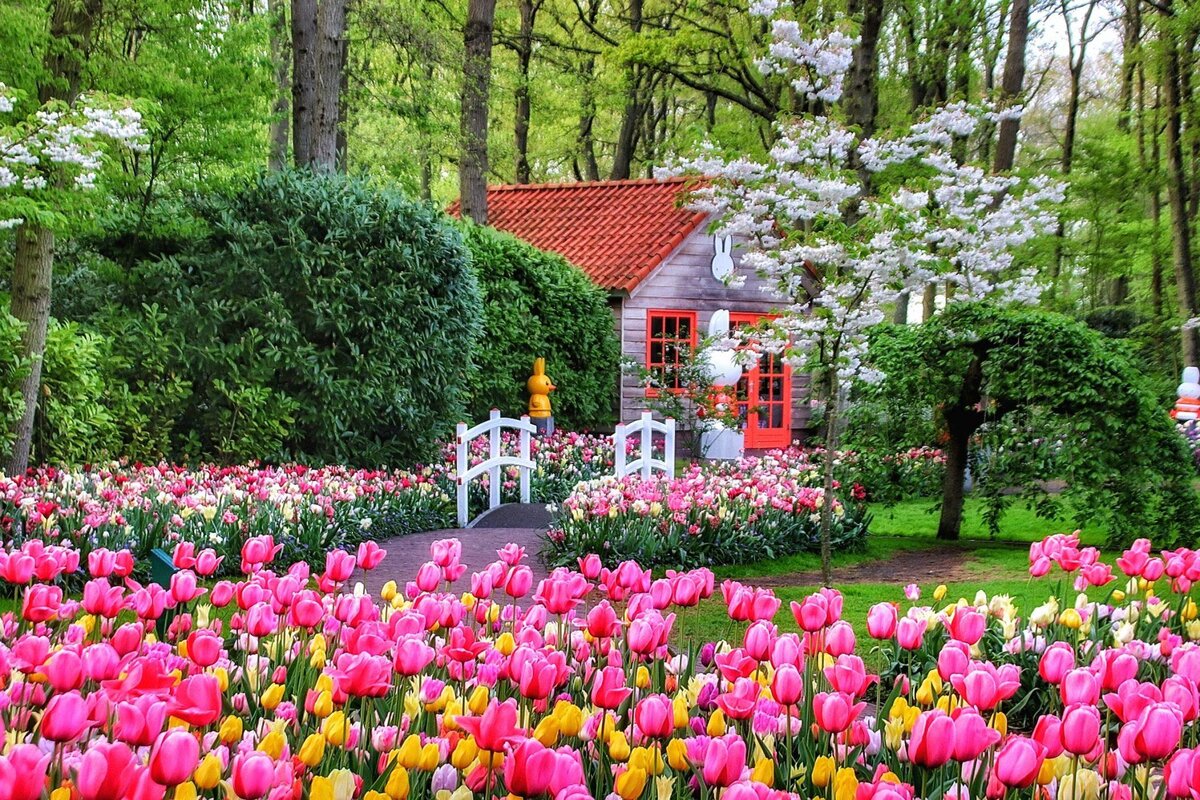 сады голландии