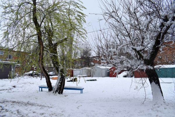 Фото Елены Врублевской
