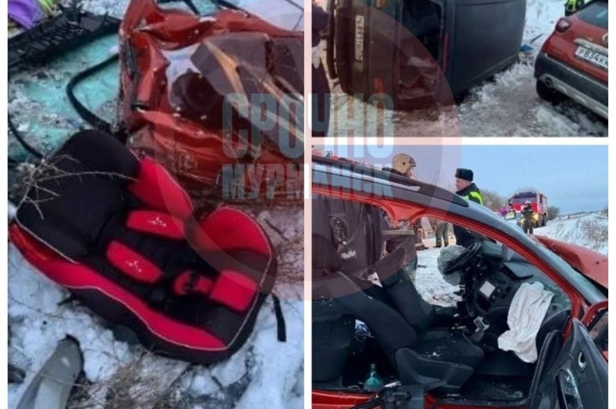    Смертельное ДТП в Ленобласти с участием детей случилось из-за мурманчанина