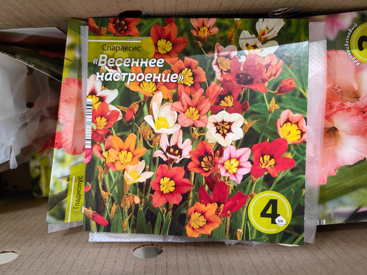 Маяк и Светофор. Сравним-ка ассортиент саженцев. Ну и в музей заглянем ...