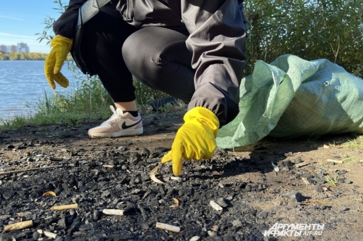    Дёмкин собирается пойти на общегородской субботник 15 апреля в Перми