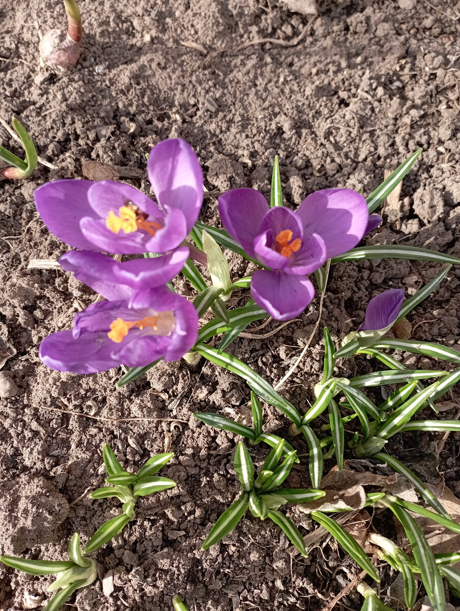 2 апреля 2023 года