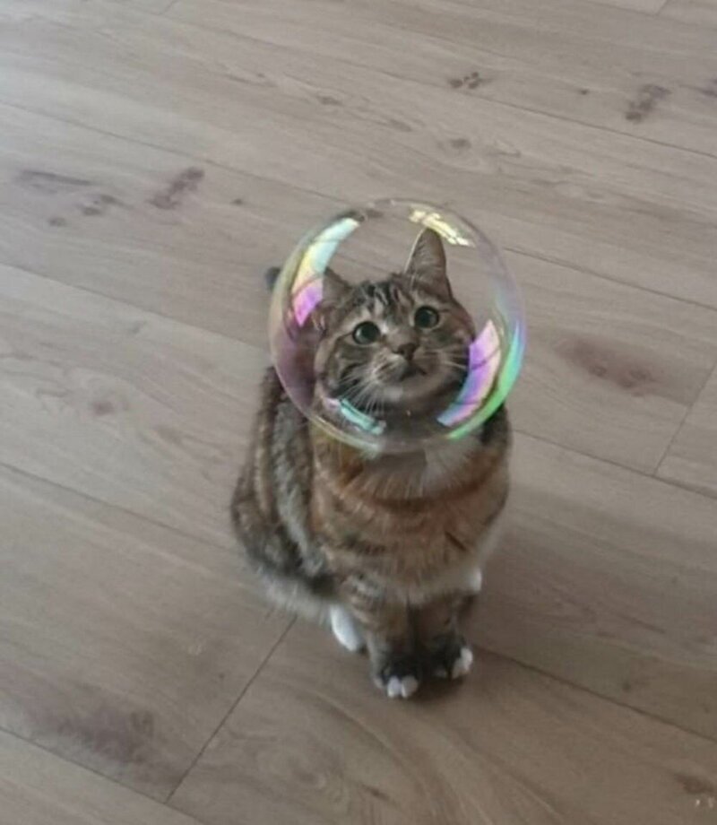 Яндекс.Картинки