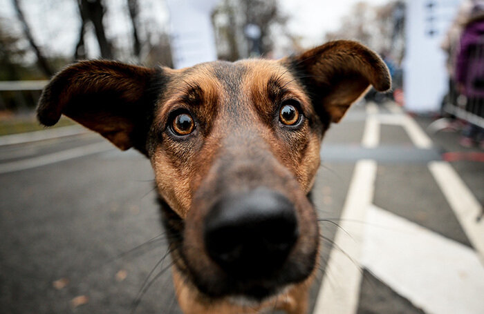    Сергей Бобылев/ТАСС