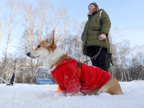   АГН «Москва»