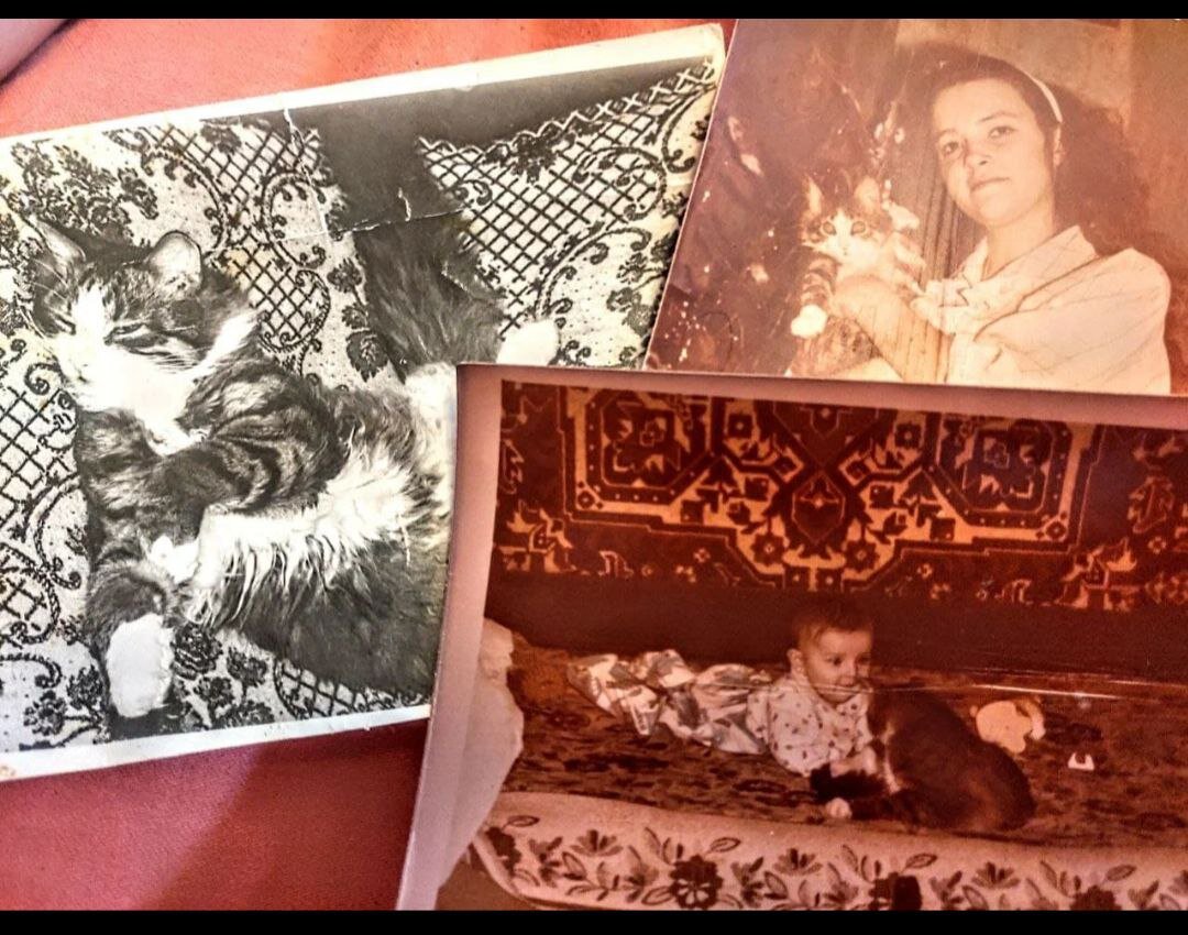 Реальные фото героя