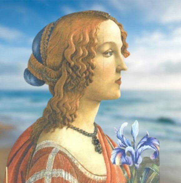 Лаура де Нов