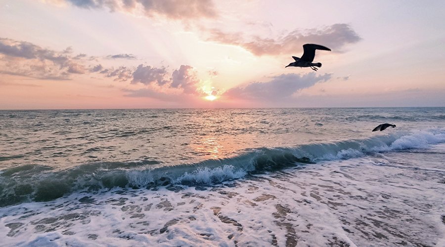 Море в Николаевке // Фото: Туристический портал Республики Крым, Кристина Безумнова