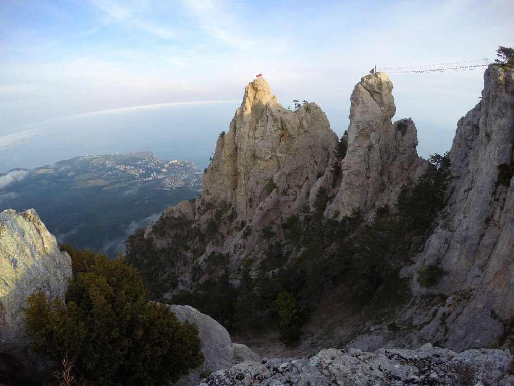 1200 Летний тис на ай Петри