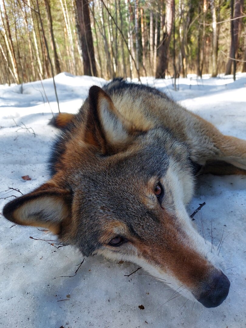 Фото: Анна Яркова