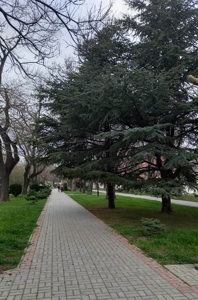Аллея на ул.Горького 