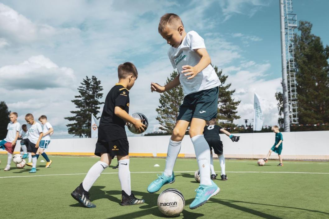 взято из общего доступа