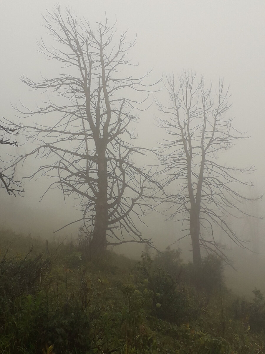 Немного мистики