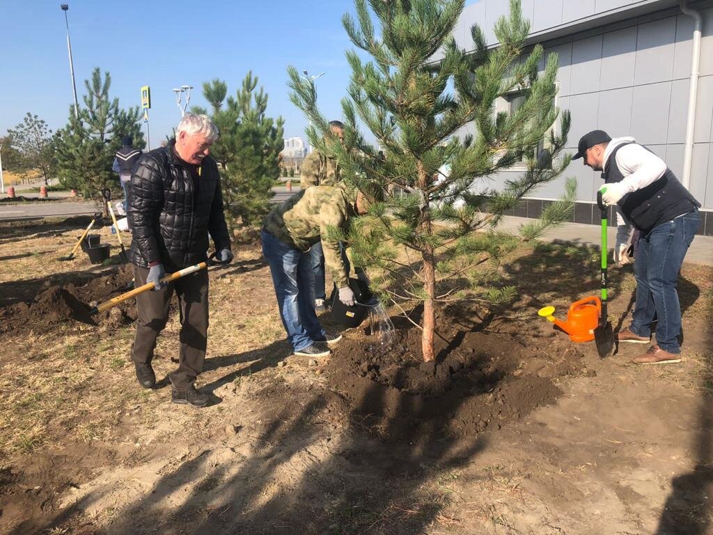 Фото: сайт администрации Ростова