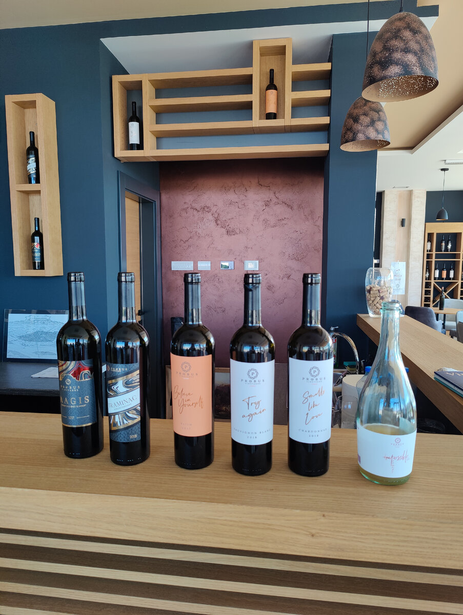 Продегустрированные позиции: красное Magis, белый полусухой траминац, оранж Belim, совиньон блан, шардоне и петнат