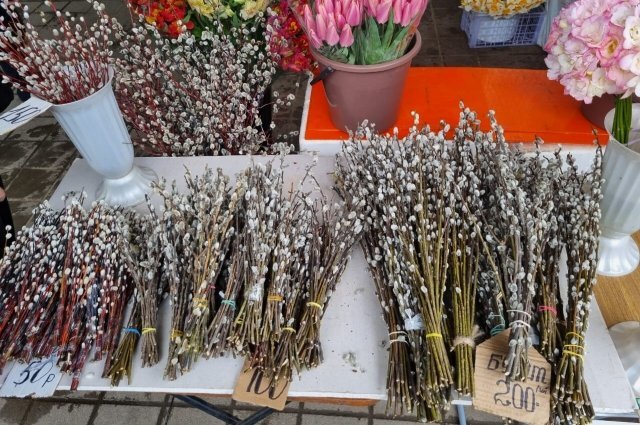    Что делать с вербой после Вербного воскресенья?