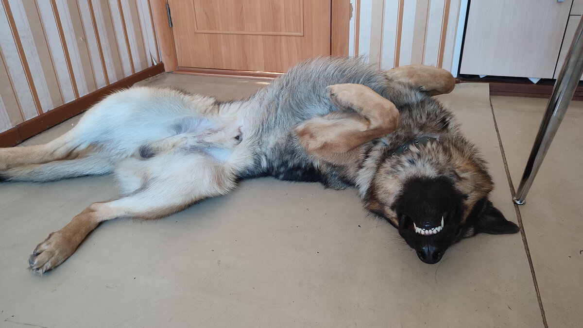 Доброе утро хозяйка