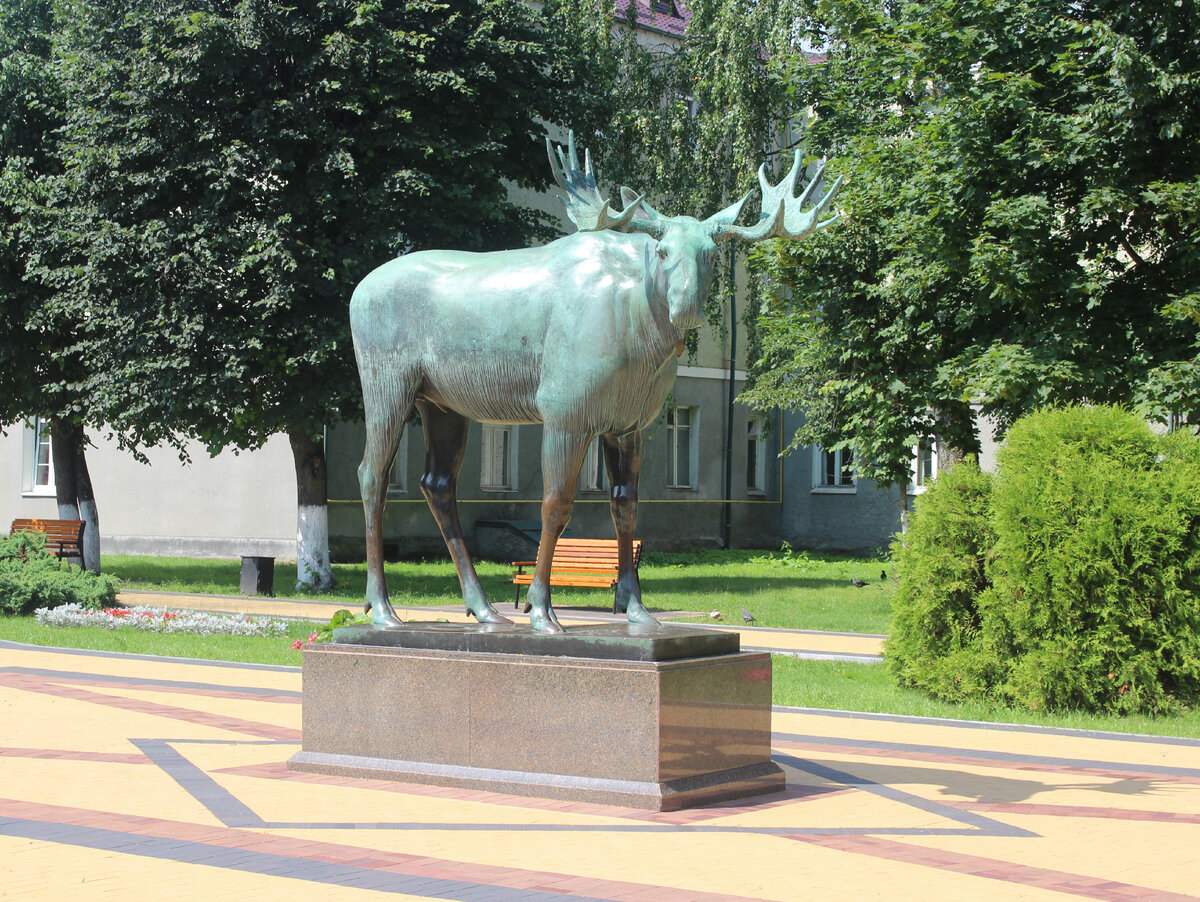 История города | Гусевский городской округ