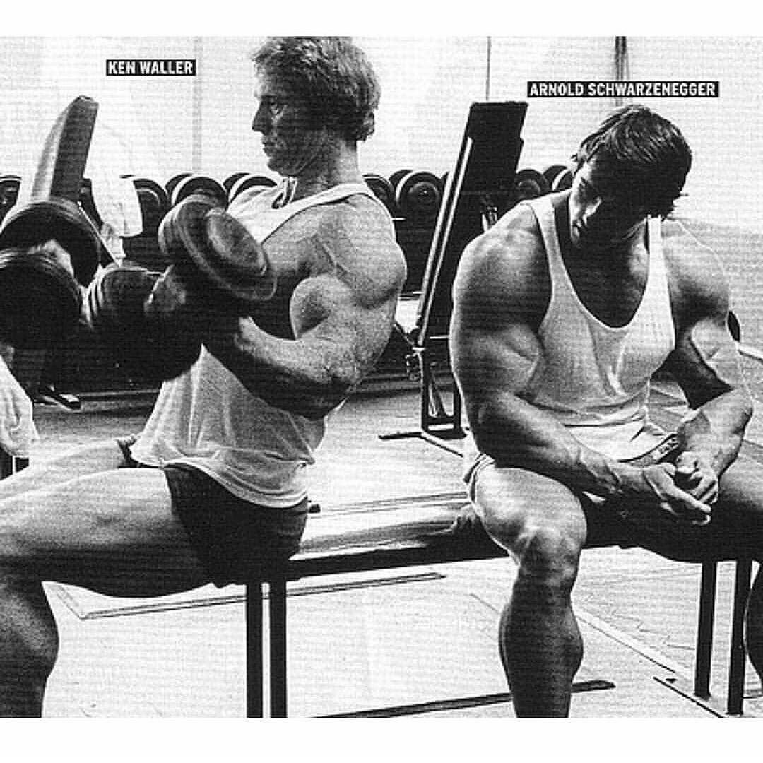 Arnold schwarzenegger bodybuilding