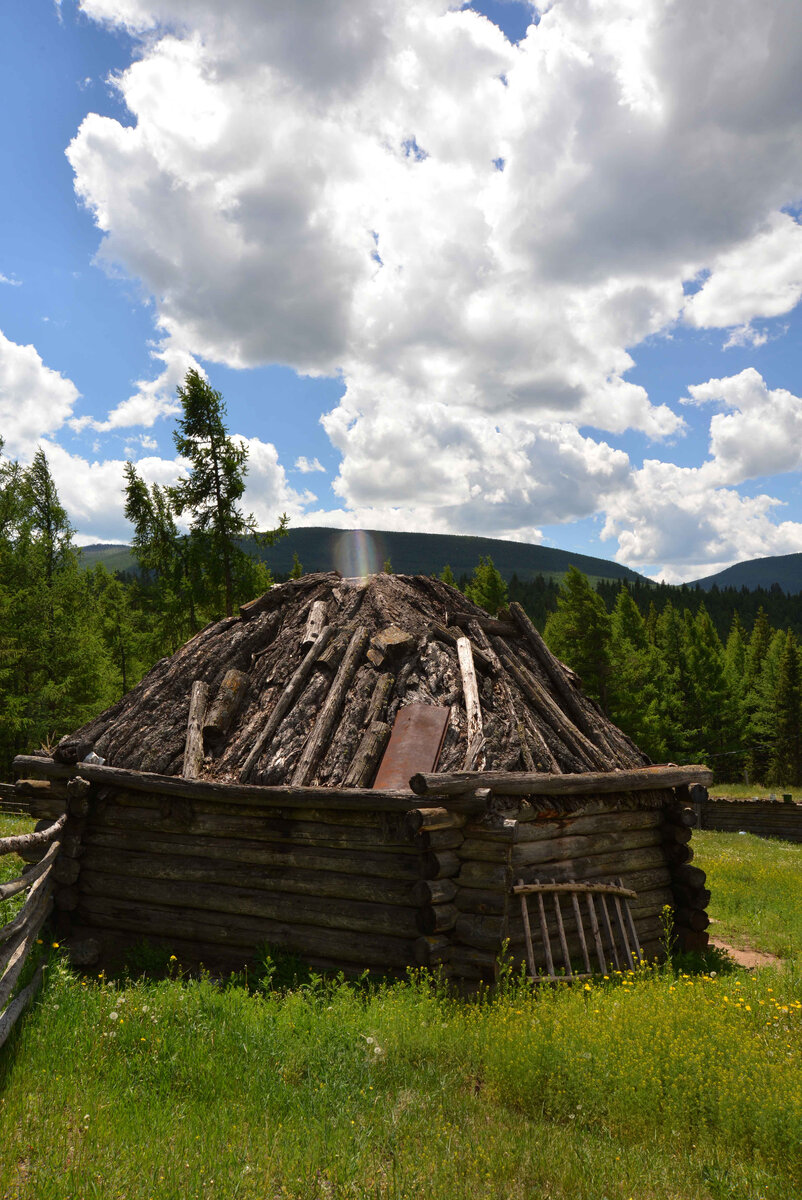 Фото Ольга Шадрина