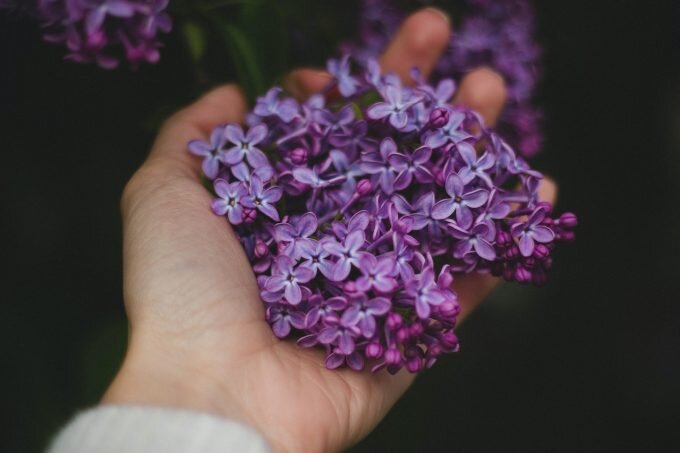 Valeria Boltneva / Pexels