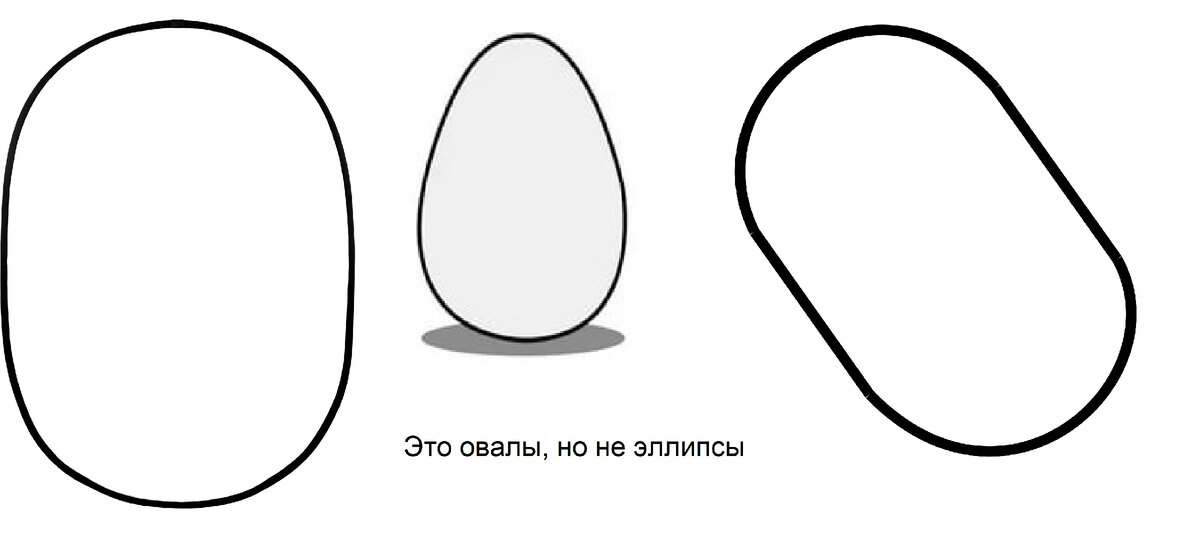 О том, как математика помогает медицине | Школа Эллипс - курсы по ...