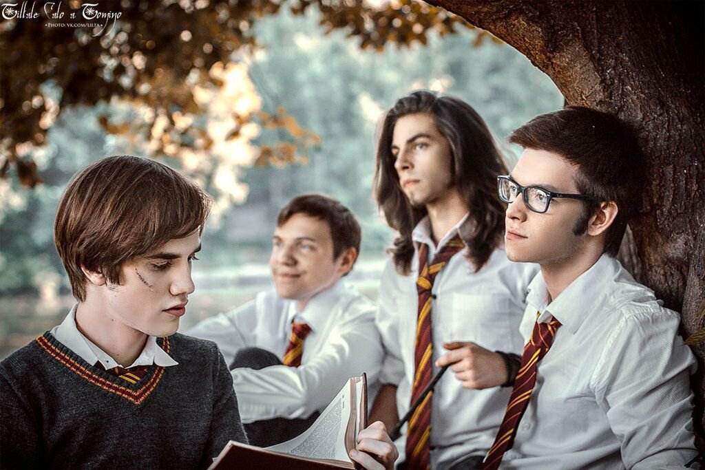 Potter series