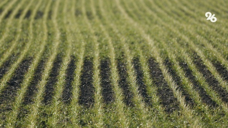 Фото: ИА «Победа26»