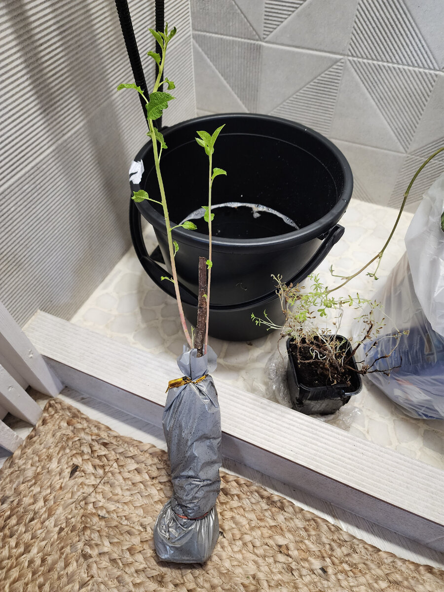 Упаковано в пакетик