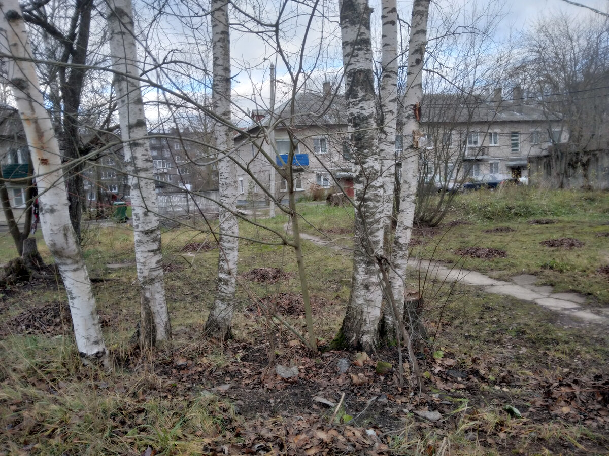Фото автора Ирины Одарчук Паули
