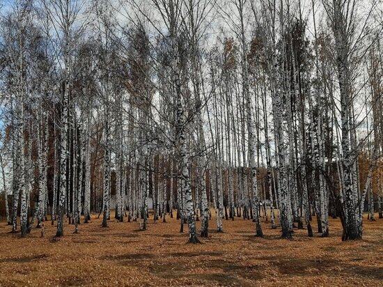     фото: Андрей Давыдов / МК-Урал