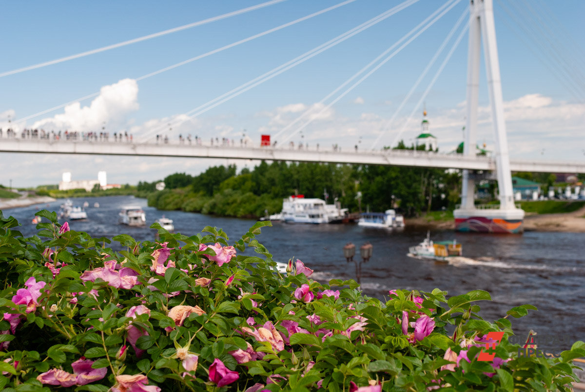 Тюмень продолжают раскручивать как туристический город, однако гости в своих оценках неоднозначны.  Фото: Елена Ельцова / ФедералПресс