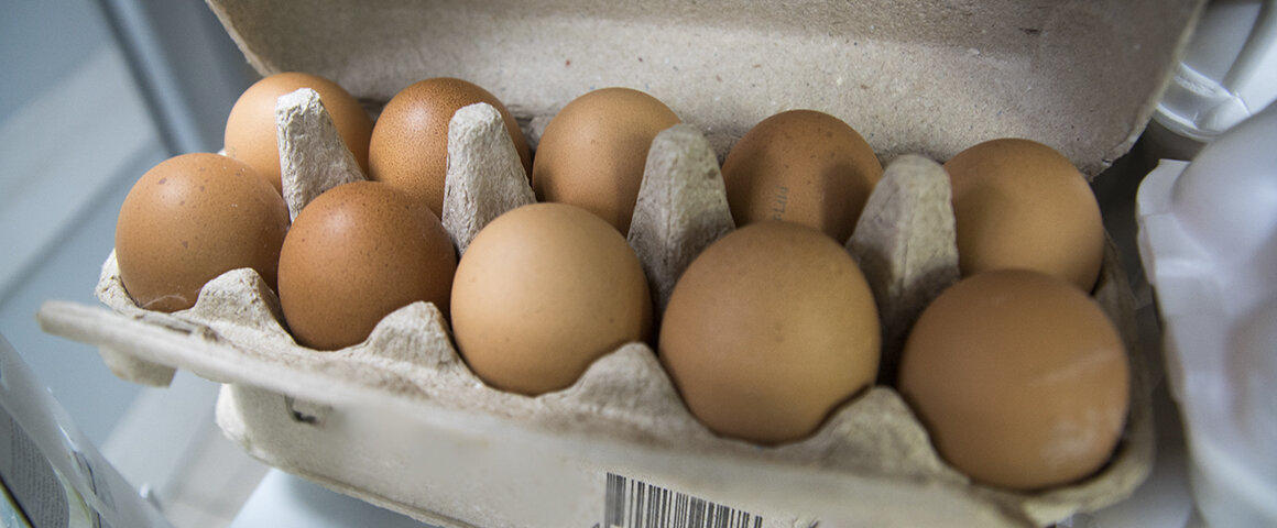 Производство яиц в Удмуртии. Куры Удмуртии Вараксино. Цены на яйца растут.