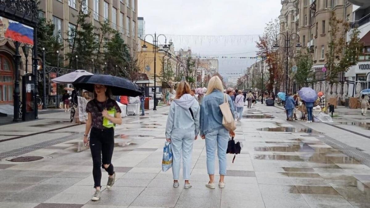    В Саратове ветер повалил остановку и обрушил уличный билбордНовости Саратова и области – Сетевое издание «Репортер64»