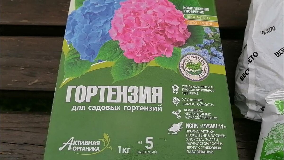 Как удобрять гортензию весной. Комплексное минеральное удобрение для гортензии. Схема подкормки гортензий. Подкормка садовых гортензий весной.