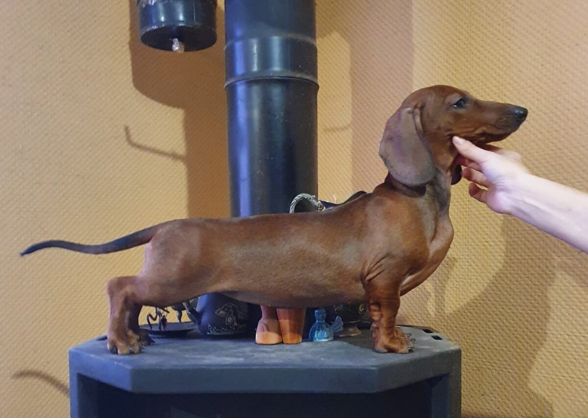 Грейт Каприз Русская Княжна.