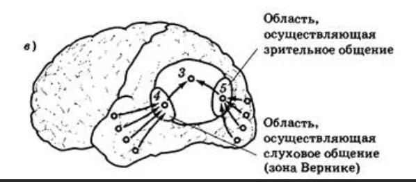 Схематизм с сайта studopedia.ru