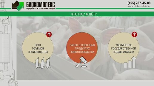 Оптимизация расходов и эффективное использование ресурсов в современных реалиях.