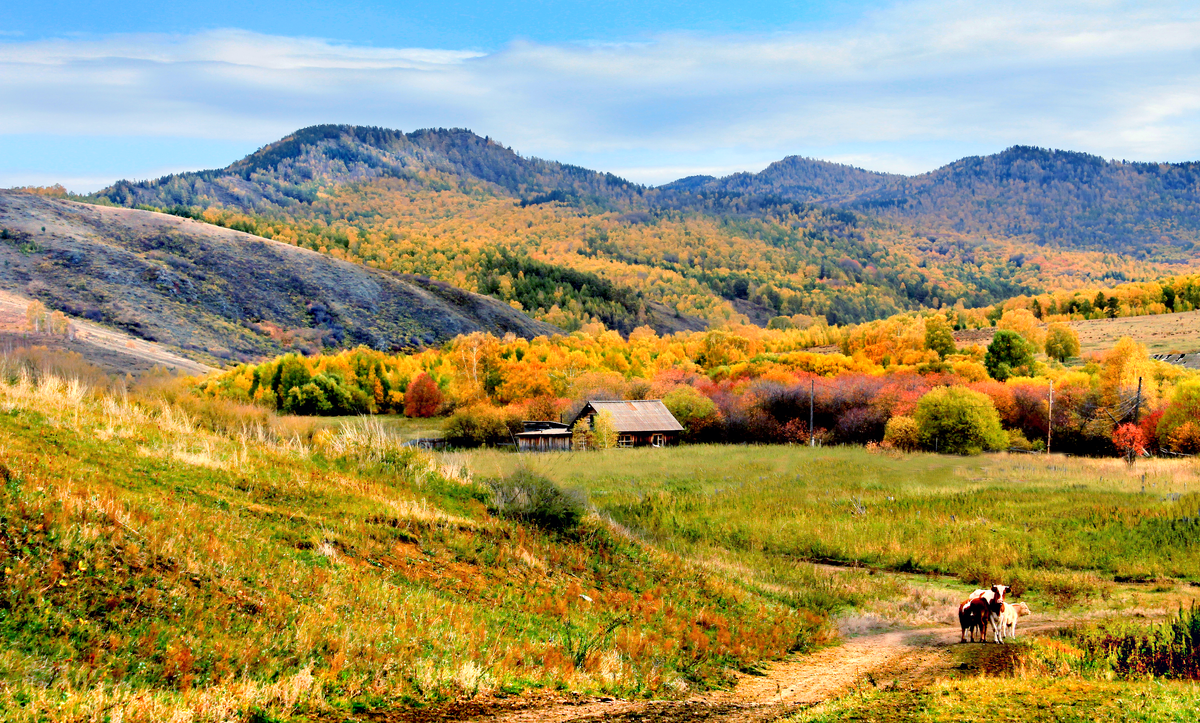 Фотография, стихотворение Василия Глуцкого 